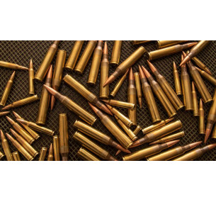 Cartridges for hunting rifles (27)